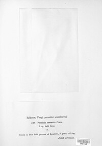 Puccinia coronata image